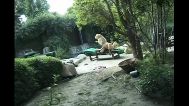 Milf in Love: मिया इवानोवा ने गांड में जोर से गड़बड़ किया