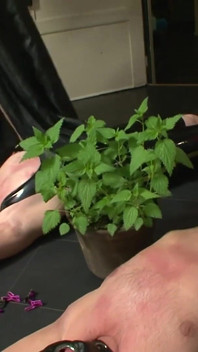 Dominazione femminile tedesca crudele - doppio schiavo