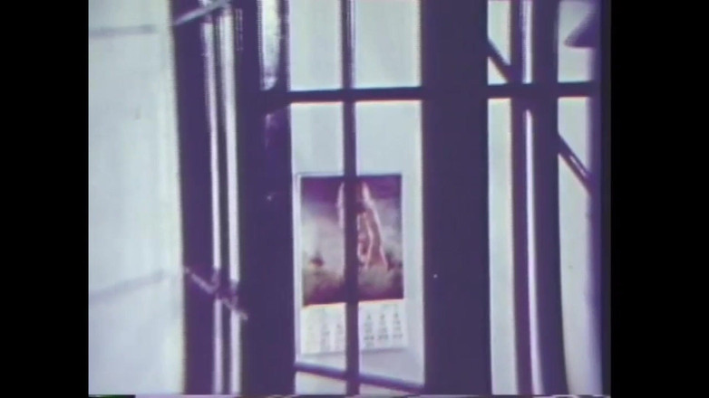 The Unforgettable: Andrea E Neesa Troie Selvagge