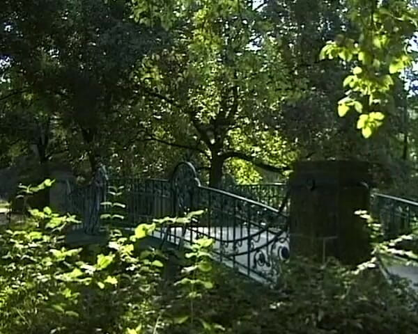 Busty German Sluts: Dieser freche deutsche teenager genießt anale penetration im park