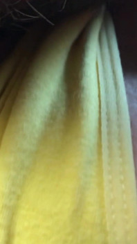 Okay, I'll pee on your cock, but only if you taste my pussy before and after. Close-up pussy licking, pissing and fucking.