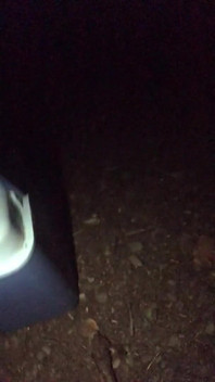 Got My Tits Out to Try and Cool Down Whilst Walking at Night