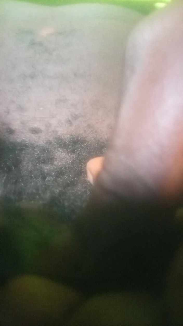 Oladip lenty studio: My Hairy Black Dick Need Some Shaving