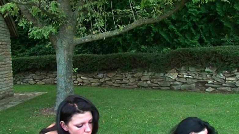 Purzel: Traviesas Lesbianas Lamen Dedos Y Juguete Jugosos Coños