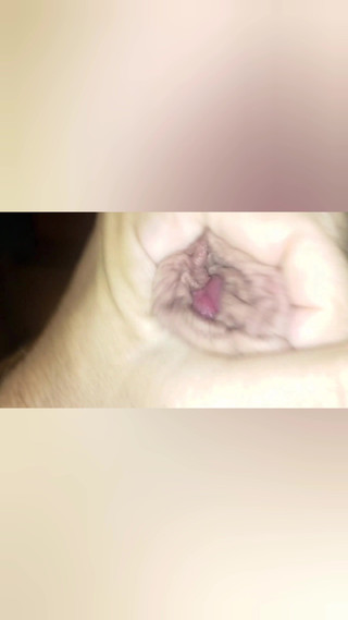 Hamsterteletu: 手淫 精子 流动