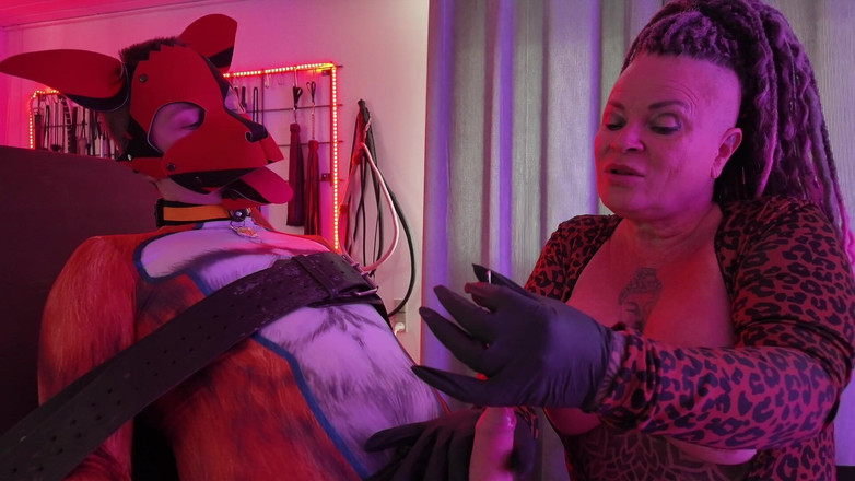 Domina Dark: Cachonda Shakkis Fox polla