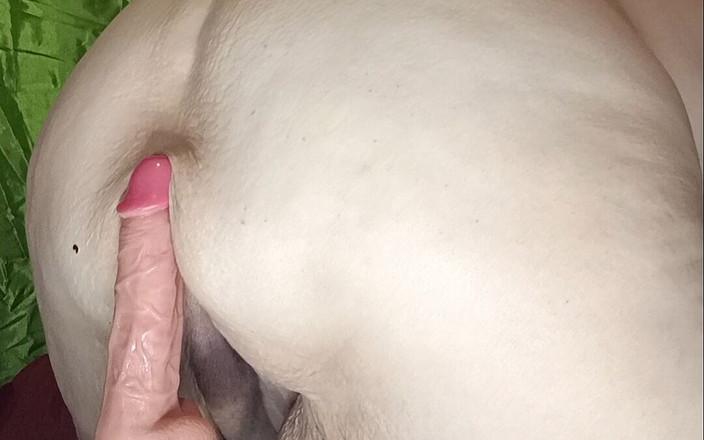 HerculesnVENUS: 胖婊子在床上浸泡精液，他再次用最长的鸡巴射在她的菊花里