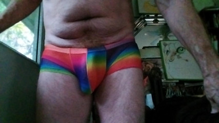 Hairyartist: Pridewear