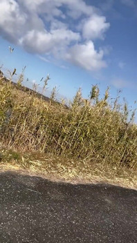 No.125 Cycling with Tack Part 3: Becoming the Wind on My Bike