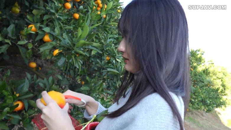 Asian cutie: Asian Angel 21011