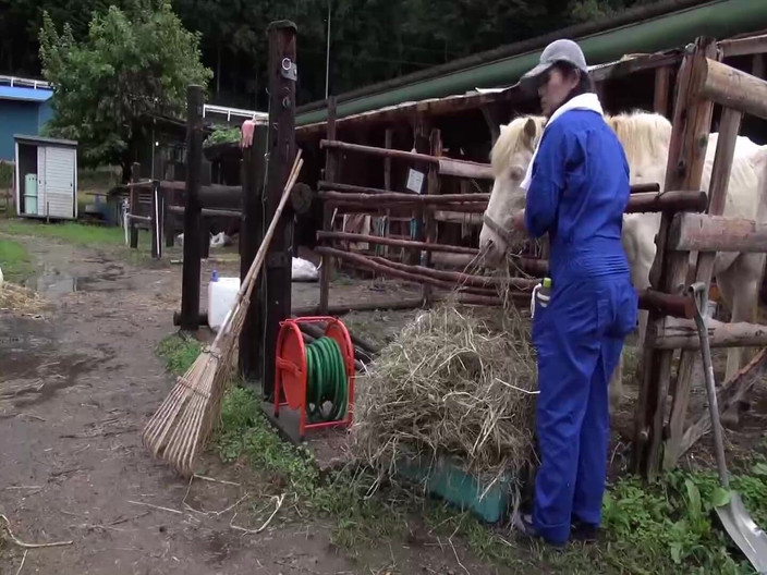 Vulture: 50 Country Bumpkins Sv. 2