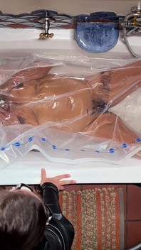 Rose wird im vakuum gepackt