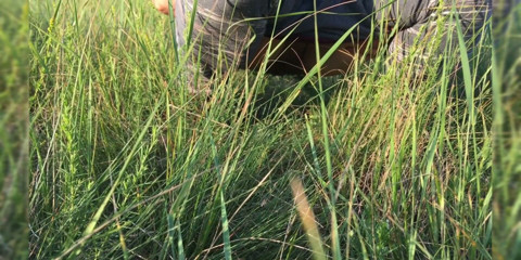 Miodelka: Risky pee outside compilation at the nature
