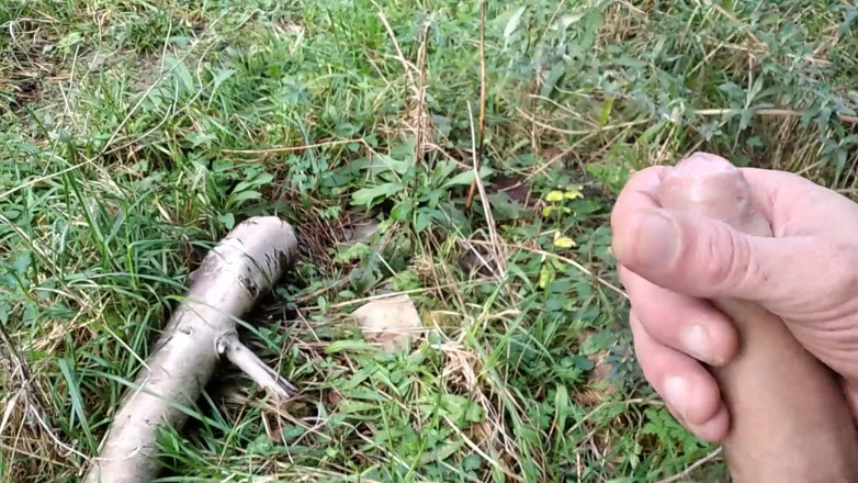 Elvissc: The Horny Stepfather Went on a Hike, When He Took...
