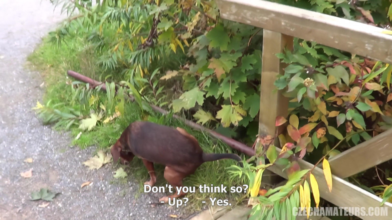 CzechAmateurs: Czech Amateurs 93 Czech menelan