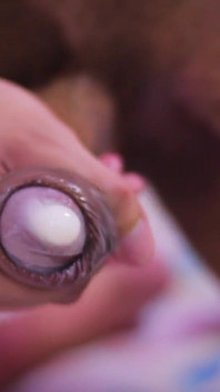 Looner Condom Popping Camilo Brown Popping Inflated Condoms with His Big Uncut Cock and Licks His Own Cum From the Condom