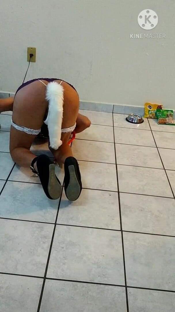 Traviezisha: Sissy Pet Training (playing Fetch with Sissy Bitch)