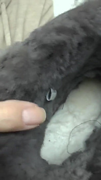 Stepmother: Strong Foot Smell in Fur Boots! Sniffing Feet and JOI Lady Vicotria Valente