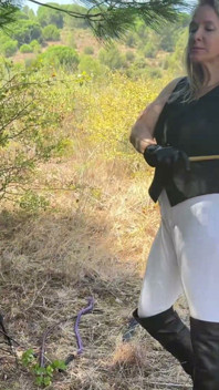 Falaka in the Woods and the Amusement of Empress Bella Sadistic