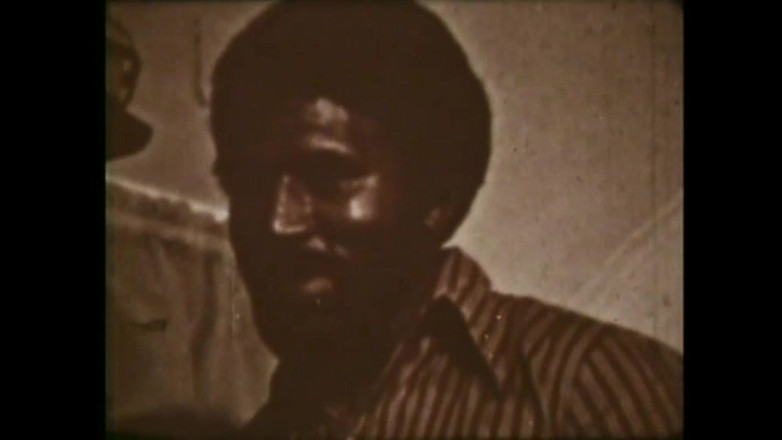 The Unforgettable: Dziki Źrebak