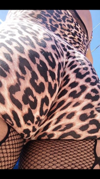 Cheetah Girl Today