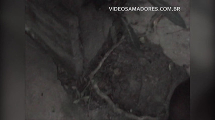 Amateurs videos: Gifted black man fucks adulterous bride in abandoned cabin in...