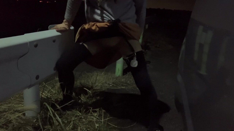 megu2002: Pose du chien n°32 d’entraînement indépendant lors d’une promenade nocturne