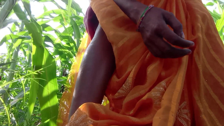 Treblsex: Nevlastní švagrová, sedni si na poli indické Bajry a vypusť vodu...