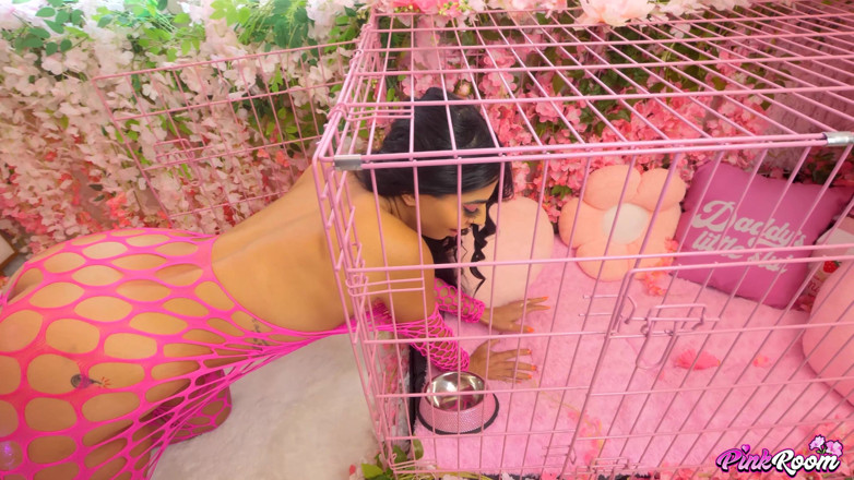 Nasty Sluts Studios: Pink Room Ep.40: Jasmine Sherni implora por uma prenhada