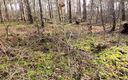 Bouncy Tits Action: Poesje slaan op tafel in het bos