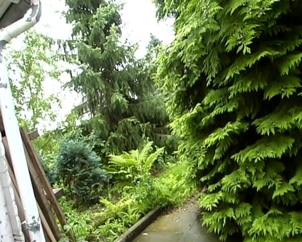 German Amateur Videos: Yarağa aç üvey kız Alman genç kız üvey babasını memnun ediyor