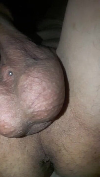 Renoreis: My piercings