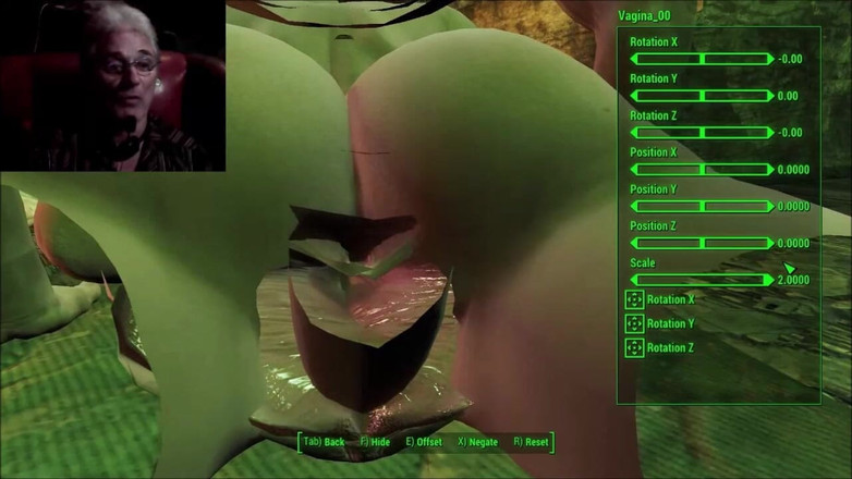 Fallout 4 Guy: Varification-video