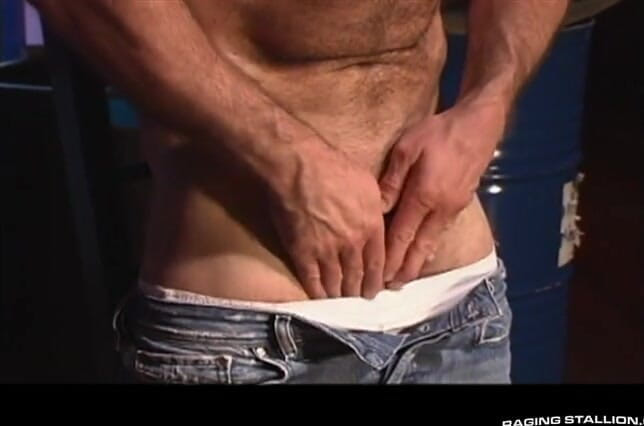 Raging Stallion: Aygır