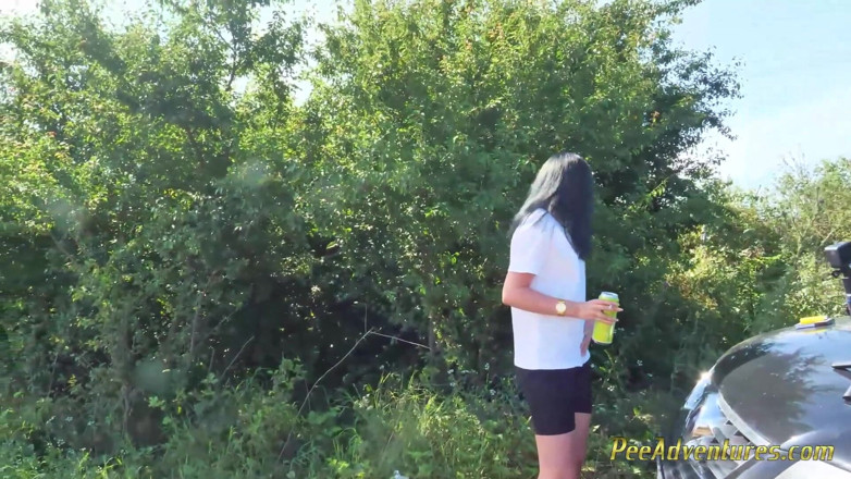 Pee Adventures: Stara się usilnie opróżnić pęcherz na zewnątrz