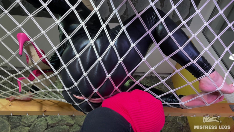 Mistress Legs: Hängegöttin verehren teil 2 - Sklavenzunge gleitet sanft auf meine entpackte muschi...