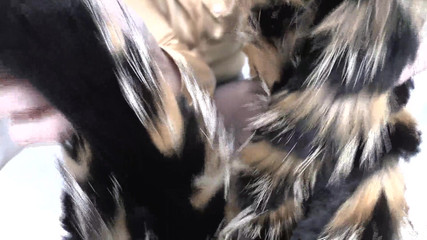 Lady Victoria Valente: Latihan ejakulasi: menghidu selendang bulu dan cumshot, Lady Victoria Valente