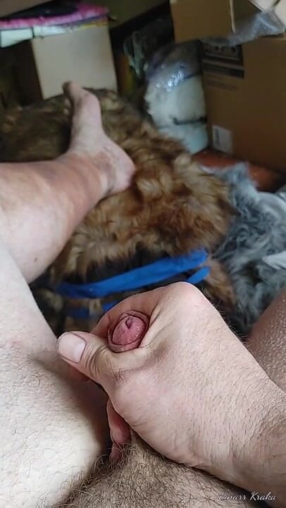 BigManShaman: チンポを引っ張る