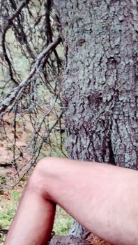 Gooning up the Mountains - Uncut Bushy Guy Under the Pine Trees