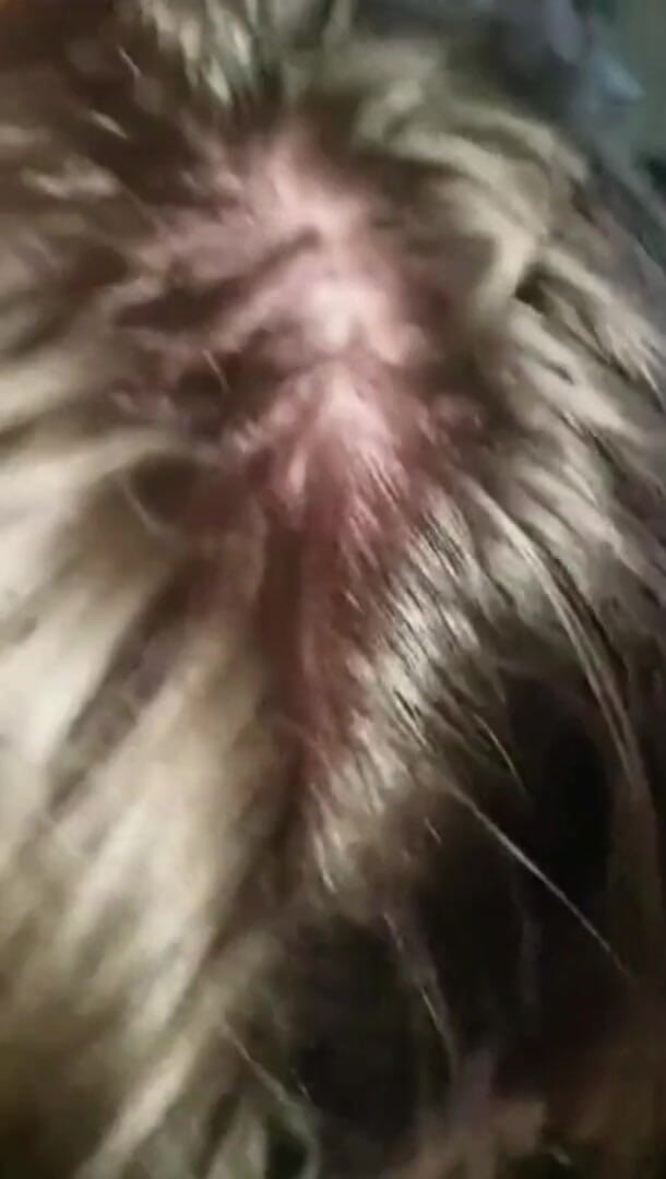 Real homemade BBW BBC porn: İri güzel kadın büyük zenci aşçı oral seks meme sikişi