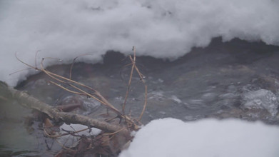 Himeros.tv: Nudo in natura