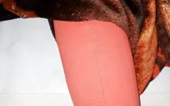 Servitoare desi sexy sex dur cu noul servitor băiat! Sex din Bangladesh 2023