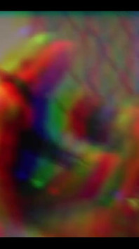 Return of the Melons - Auntie Paris Fucks It Out