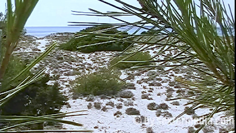 Sextermedia by Pete: MILF Sexy Desnuda En La Playa Nudista