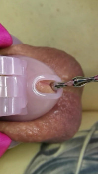 Femboy Sounding in Chastity