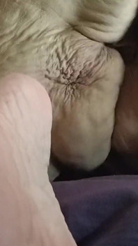 Twerking That Fat Ass Damn Her Boytoy Comes Too Fast
