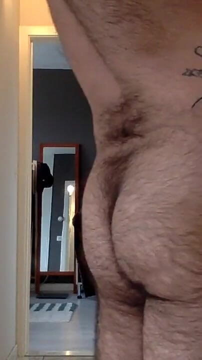 Hungry monster (Hungry monster bear)
