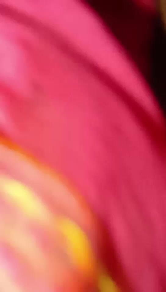 Png: Indian Village Wife Homemade Fuck