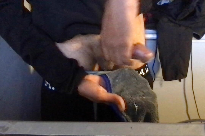 BrooklynsBigDick: Spielzeit