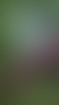 I Was Walking in the Woods and Got Horny